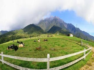 3 Days 2 Night Kundasang Ezcapade